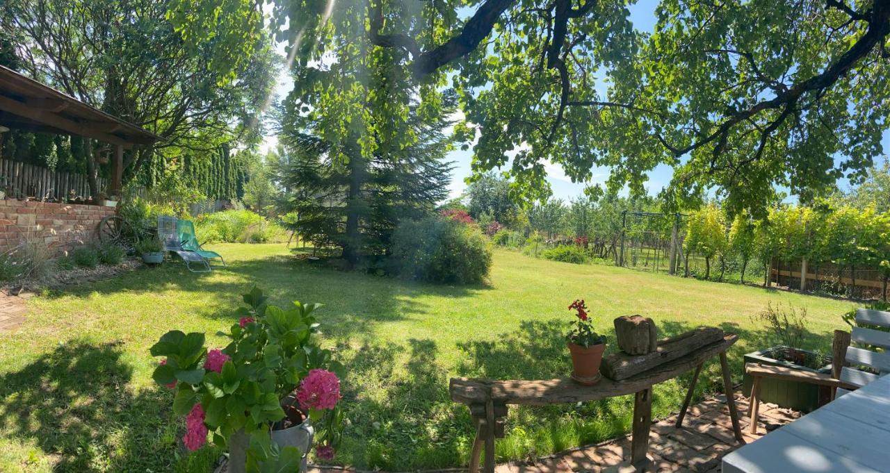 Apartman V Brezi Dış mekan fotoğraf